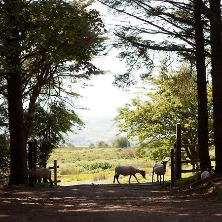 Wheal Tor Hotel & Glamping Liskeard Ngoại thất bức ảnh
